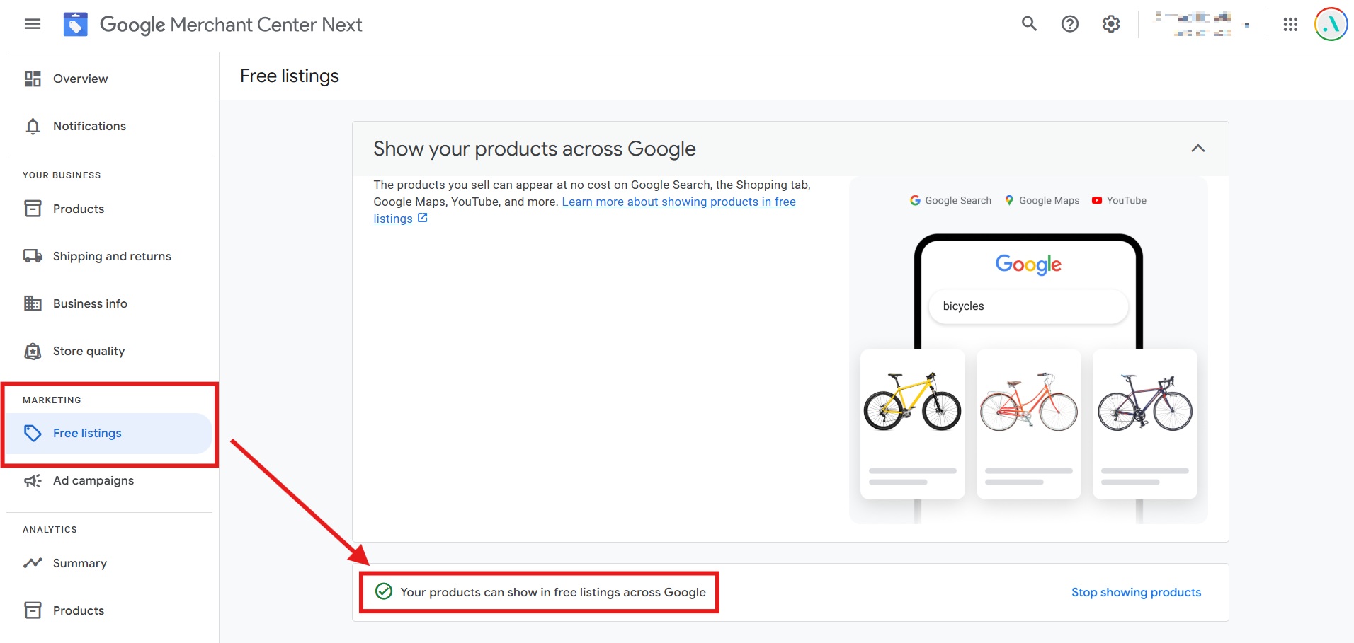 Google Merchant Centre Free Listings Configuration Screenshot
